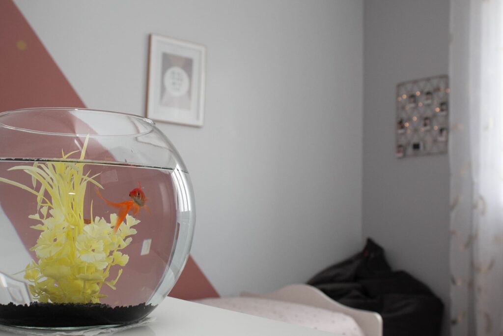 PROJET VANESSA 3DECORATRICE Decoratrice Angers IMG 4843