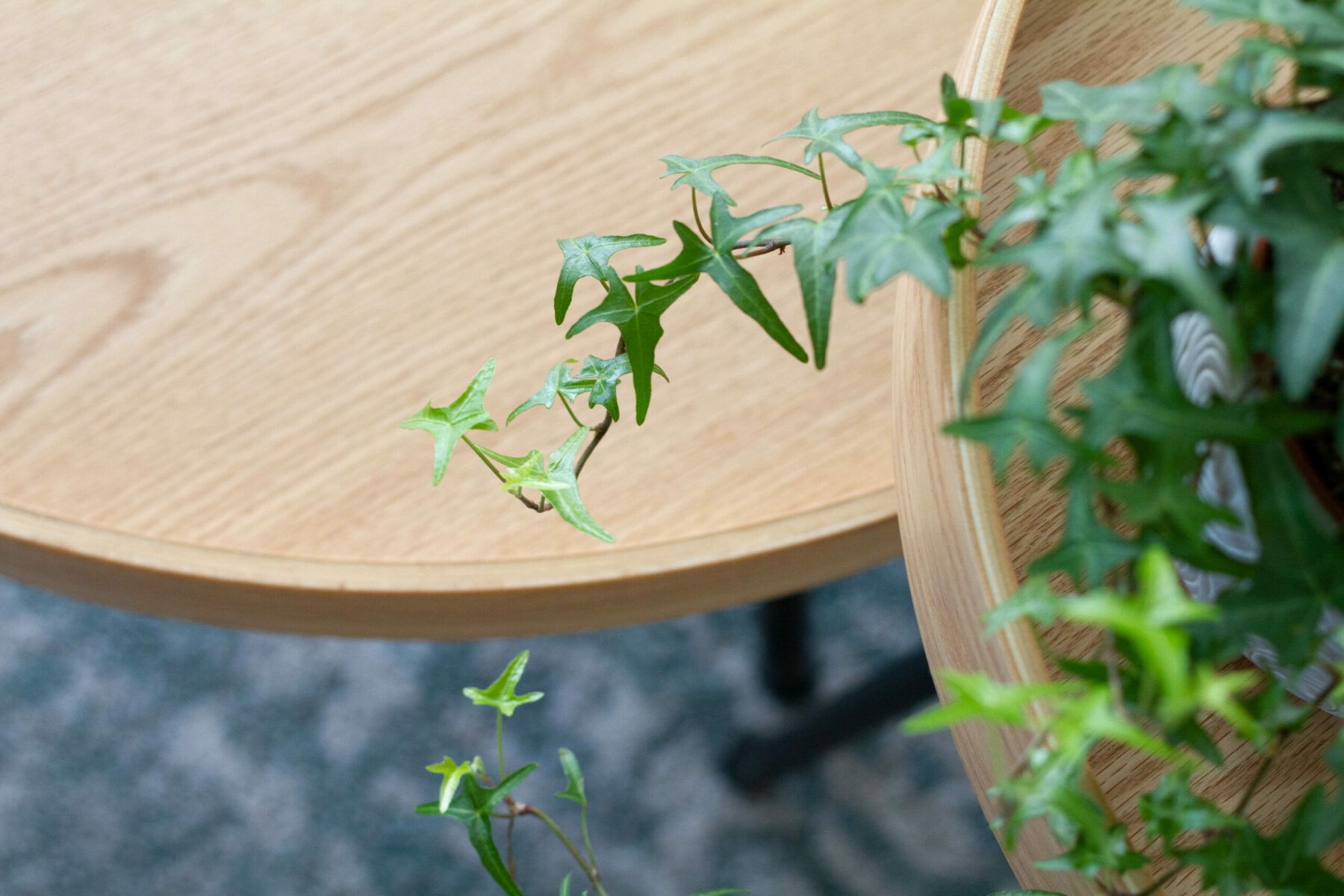 Vanessa 3decoratrice Decoratrice Angers NEW 9501